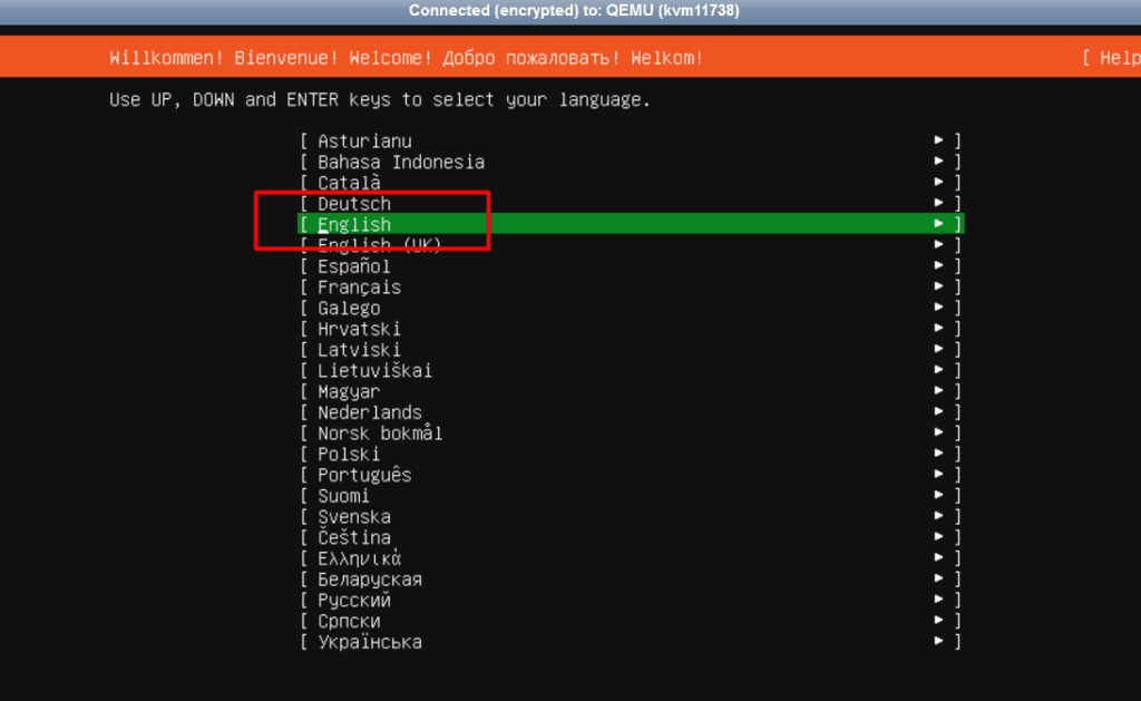 Ubuntu Server installer language selection with English highlighted.