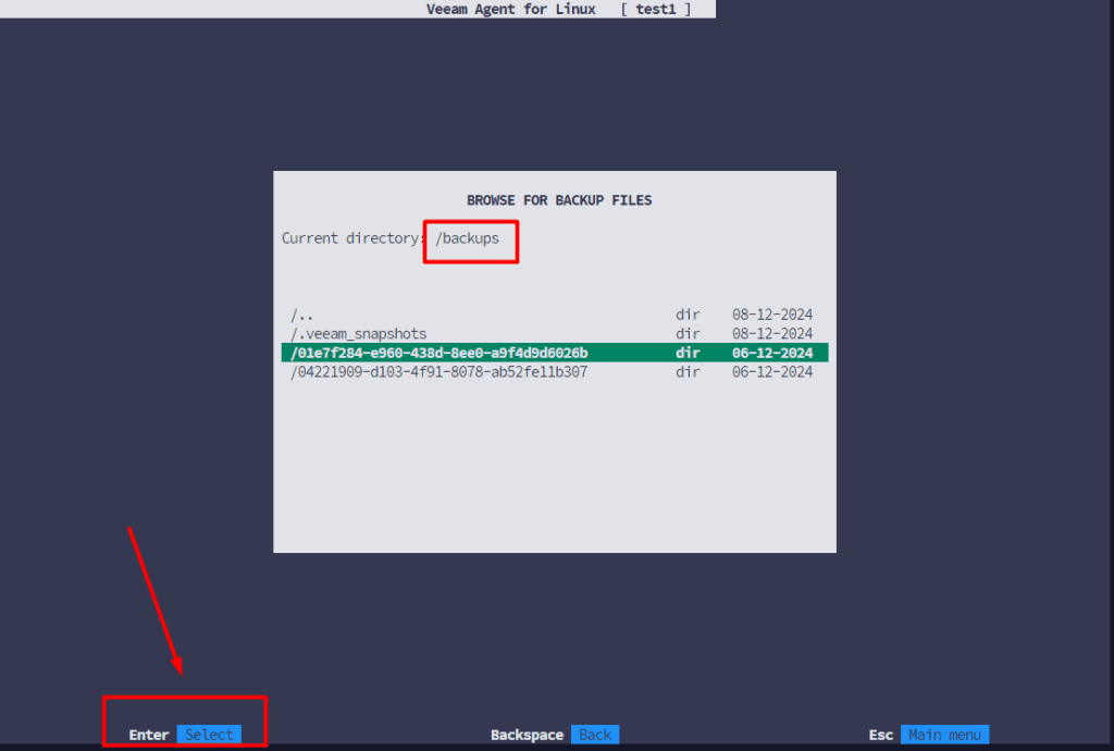 Veeam backup file browser with a backup directory selected.