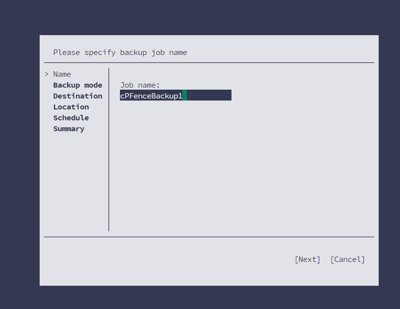 Veeam backup job wizard asking for the job name.