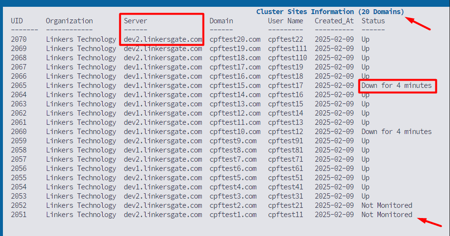 Complete Overview of Your Hosting Environment at a Glance